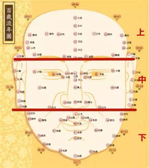 額闊|面相學第一課：中央十四氣勢